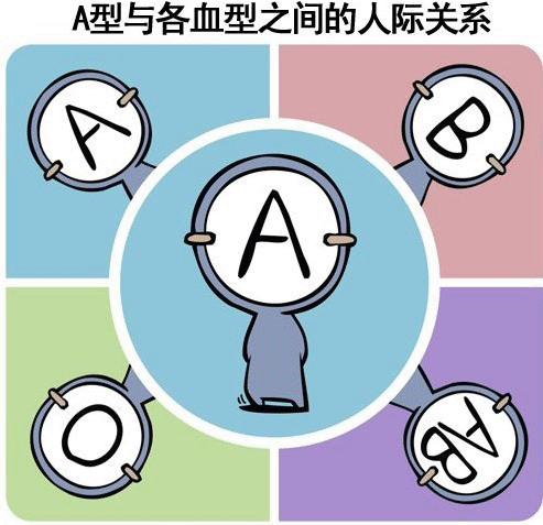 a型血与各血型之间的人际关系