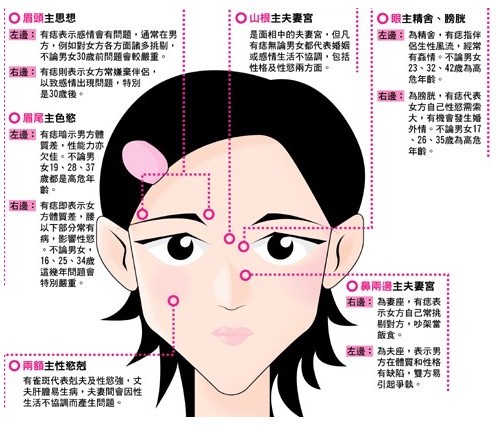 查字典星座网面相图解