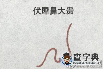 伏犀鼻面相—显贵之兆