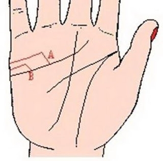 手相婚姻线图解(六)：夫妻不和的手相图1