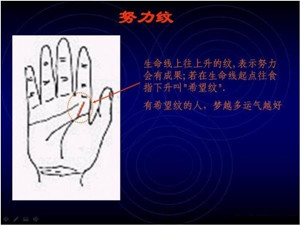 手掌纹与健康，看手掌纹知健康16
